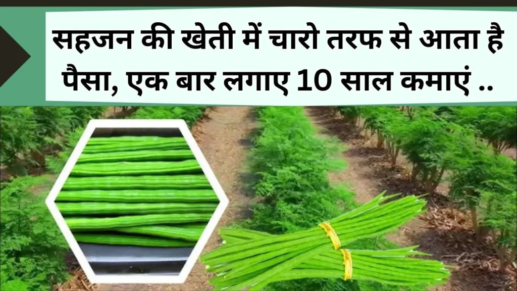 सहजन